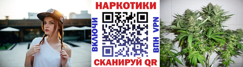Где купить наркотики Нестеров ГАШ  MDMA  МЕФ  Канабис  Альфа ПВП 