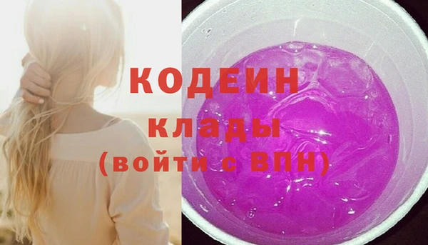 прущие грибы Алзамай
