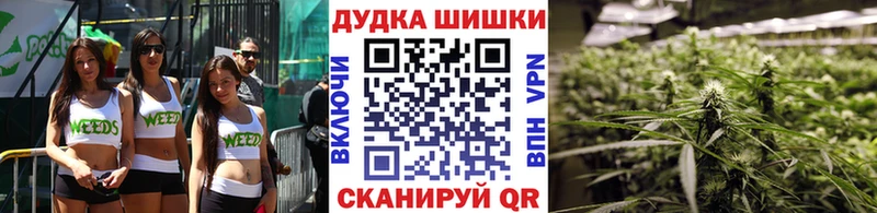 где купить наркоту  Нестеров  Бошки Шишки MAZAR 
